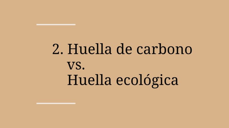 glosario-esg-huella-carbono-huella-ecologica-alba-sueiro-roman-blog